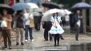 x1x379424CD98675239A3