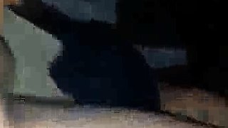 Big ass cheating slut wife on a bbc bb