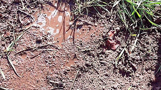 Pissing Pussy in Cold Weather Outside