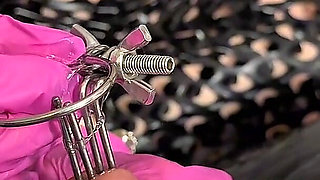 Immobilised Provoked Denied and Urethral