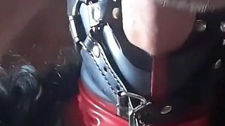 30 Minutes Compilation of Facial Fucking with Ring Gag, Oral Creampies and Facials