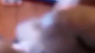 Moaning Tamil Slutwife’s Big Ass Cowgirl & Pussy Licking Before Hard Missionary Fuck - Indianhotwifex