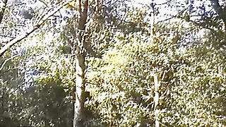 Outdoor punishing lesson in the forest