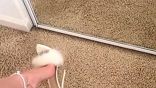 Amateur Foot Fetish Girlfriend Sucks and gives a Footjob
