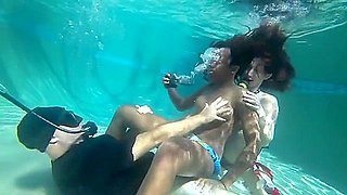 Blackwidow 4 The Penis Forever Popular