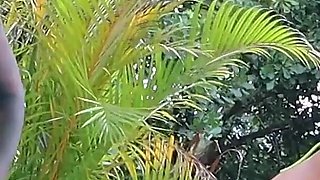 She Gets Fucked Like a Bitch and Screams with Pleasure