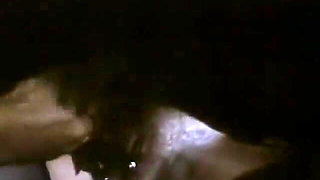 Classic Porn Dvds Marilyn Chambers Insatiable P