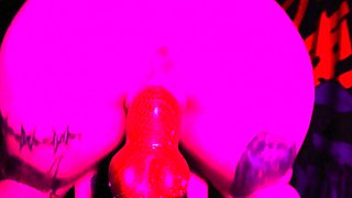 Amateur Webcam Couple Blowjob