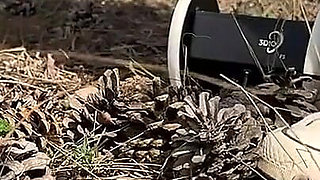 Asmr Day in the Forest with Me