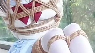 The Scenery Inside the Window Is so Wonderful