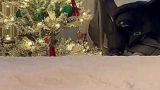 Hard and Lasting Fuck in Ripped Pantyhose and Heels