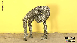 Contortion Show