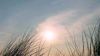 HollandschePassie - Candice Hell Hardcore DUTCH