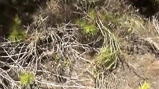 Deutsche Strandferien