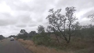 My EBONY EX GF came back to swallow my white cock