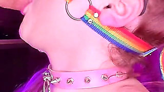 The Unicorns Interview