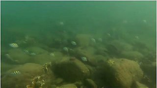 Santa Marta - Taganga, Tayrona, Mendihuaca Sex Tapes On Our Of