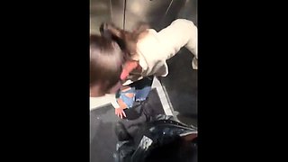 Big cock amateur german blowjob