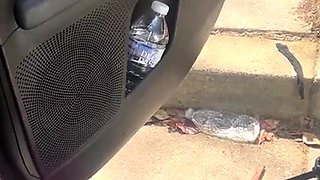 Hot amateur european foot and pantyhose fetish