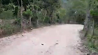 We Enjoy the Scenery Before We Get Fucked