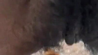 Harry Pussy Fucking Part 1