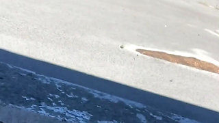 Amateur Boy Caught Freeballing and Exposing His Boner
