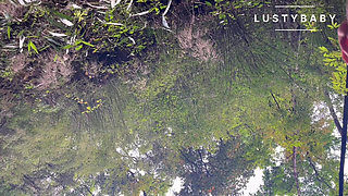 New Year 2083 Jungle Adventures Special