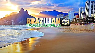 BRAZILIAN TRANSSEXUALS Hot Tall Newbie Debuting