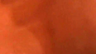 Small Tit Spinner Strips and Spreads