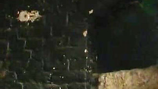 Humliates dominates face sitting