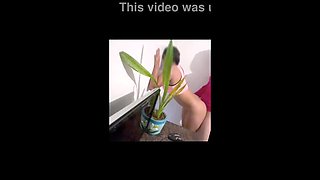 Homemade Sex With Brunette Cleaning Lady - Petite Latina Babysitter Fucked By Boss