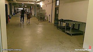 Ebony Dragged In Basement For Tormnet - Nikki Darling