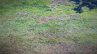 Sweat & Smell Fetish: Licking Her Salty Pussy & Pits