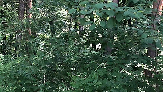 Life Porn Stories 11 - Part 2 She Wants Some Meat