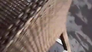 Johntronx - Picture-perfect Thai Amateur Babe Gets Banged in the Pool