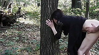 During a Walk in the Forest