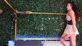 Feti Gang Productions - Meiko Jane - Meikos Girl Scout