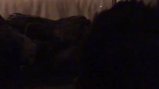 Amateur Hotwife Spit Roasted by Two Hard Cocks