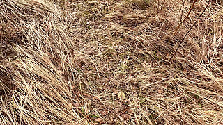 Naked Tits on the Industrial Plant