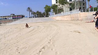 Sexdate amateurs at the public beach 1