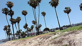 Brunette hookup amateur blowjob and dirtytalk sexdate