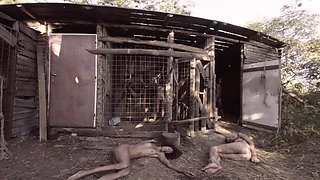 X Virtual 19 the Monster From the Woods 180°