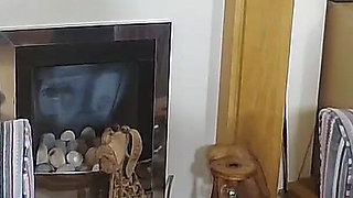 Miss Fox and the Head