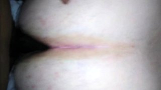 Fat Bear Takes Bareback BBC