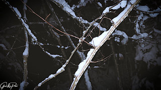 Naughty Snow Vlog: Raclette & Doggy Style