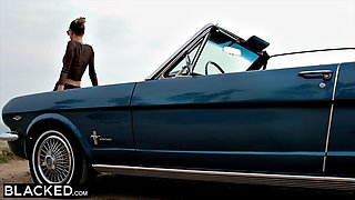 Rich Girl Wants Nothing but Bbc Haley Reed, Jason Luv