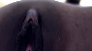 Layndare - You Fuck Your Petite Asian Step Daughter