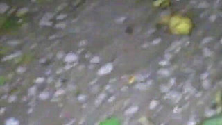 Big Tits Blonde MILF Wife Lara Leighton Enjoys a Spunky Dogging Mission on Her Knees Sucking Cocks