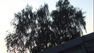 Dutch Teen Swallowing Big Loads of Cum Near by Highway Hooker Motel