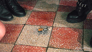 Chips, Ash and Snotty Spit